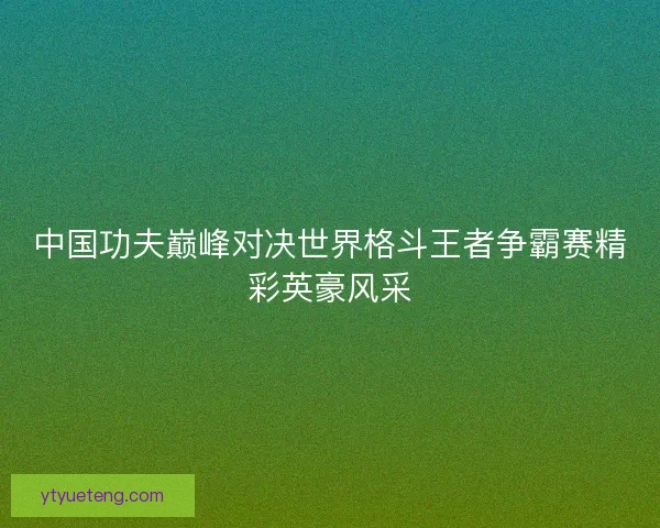 中国功夫巅峰对决世界格斗王者争霸赛精彩英豪风采